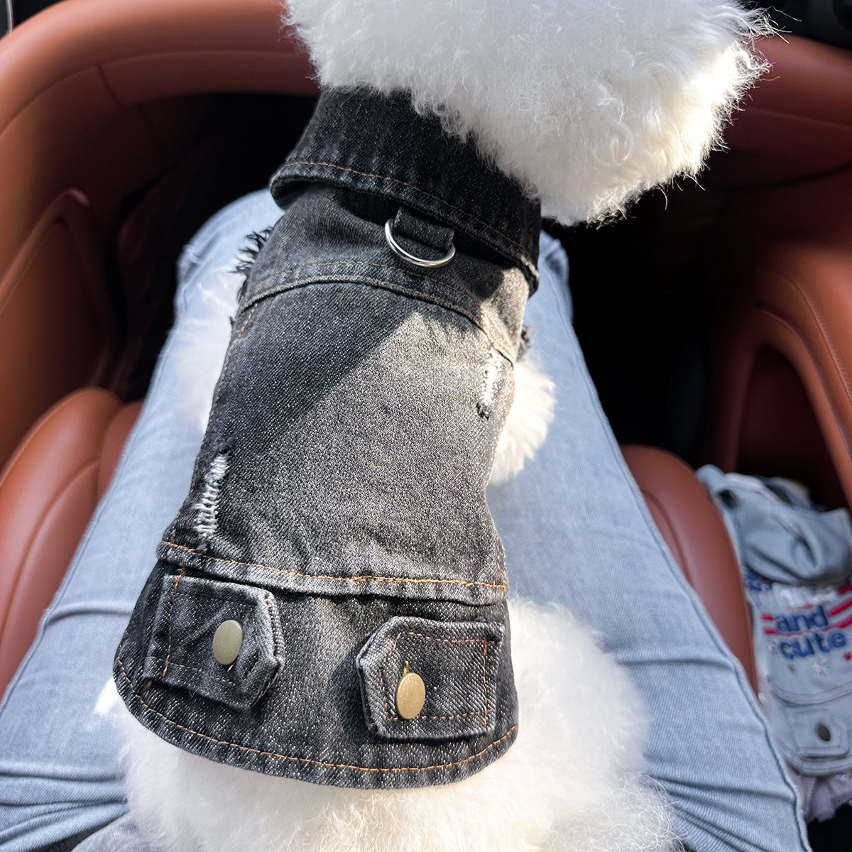 Dackel Jeansjacke | Vintage Distressed Denim für kleine Hunde