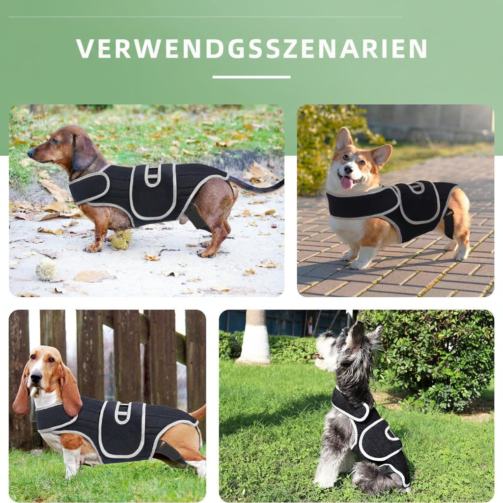 Hunde Rücken-Stützorthese – Orthopädische Wirbelsäulenstütze
