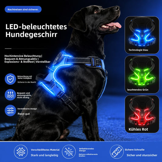 LED-Hundegeschirr mit wiederaufladbarer Beleuchtung – Sicher sichtbar bei Nacht