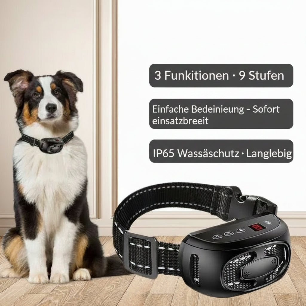 Anti Bell Halsband für Hunde – Automatisch, Sicher & Wiederaufladbar.
