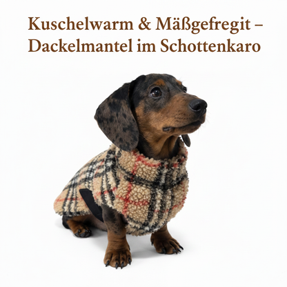 Dackel Kuschelmantel – Maßgefertigte Wärme im Schottenkaro