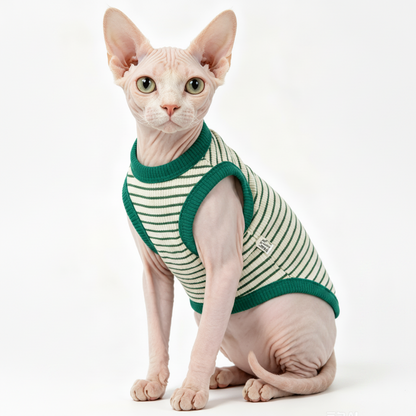 Sphynx Katze Kleidung – Gestreiftes Shirt für Nacktkatzen.