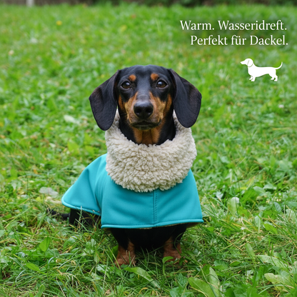 Dackel Wintermantel – Maßgefertigte Wärme für deinen Dackel