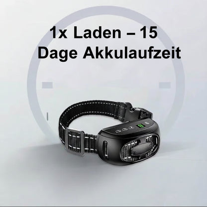 Anti Bell Halsband für Hunde – Automatisch, Sicher & Wiederaufladbar.