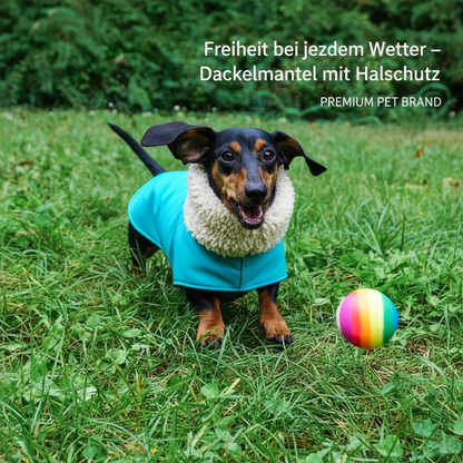 Dackel Wintermantel – Maßgefertigte Wärme für deinen Dackel
