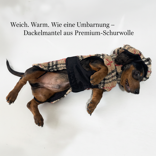 Dackel Kuschelmantel – Maßgefertigte Wärme im Schottenkaro