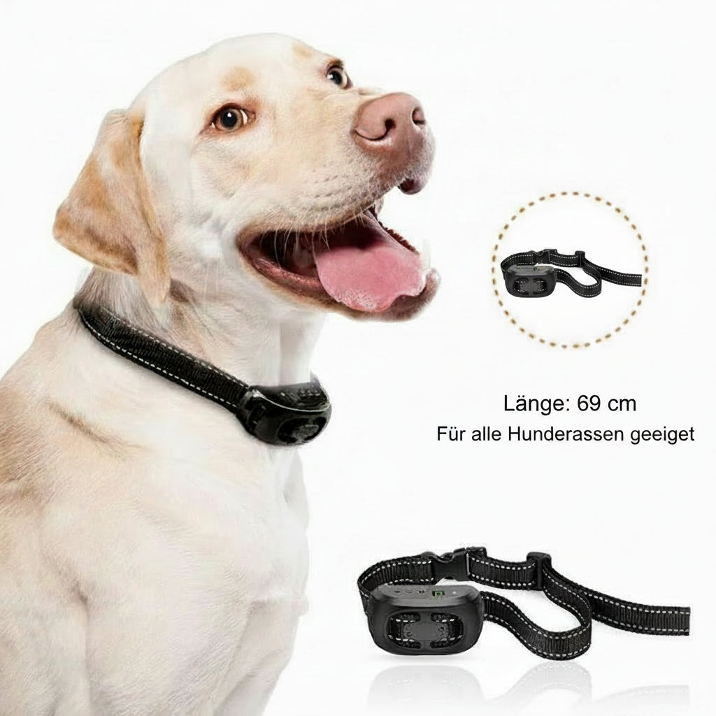Anti Bell Halsband für Hunde – Automatisch, Sicher & Wiederaufladbar.
