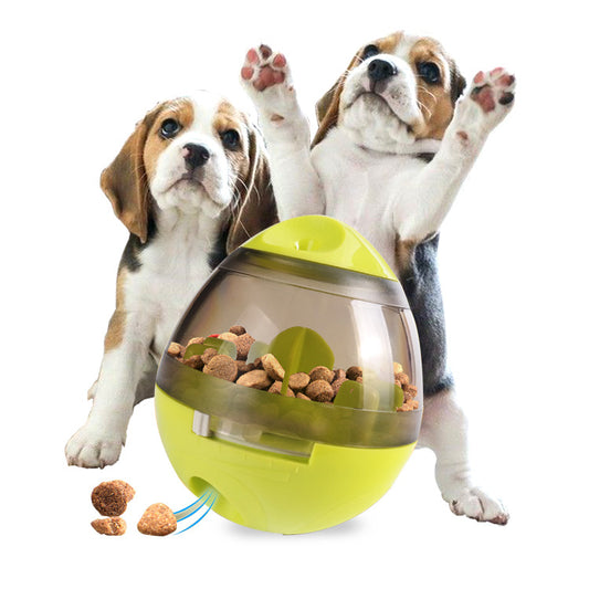 Intelligenzspielzeug für Hunde & Katzen.