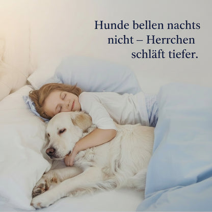 Anti Bell Halsband für Hunde – Automatisch, Sicher & Wiederaufladbar.