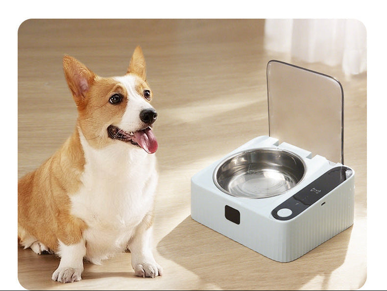 Katzennapf & Hundenapf mit Sensor-Deckel | Edelstahl Tiernapf.