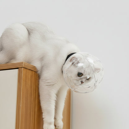 Halskrause Katze transparent Kugelform 360° Belüftung | Beiß & Wundschutz.