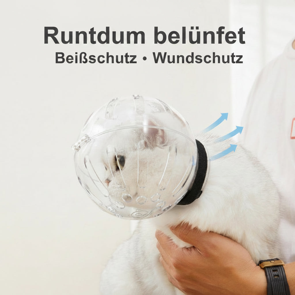 Halskrause Katze transparent Kugelform 360° Belüftung | Beiß & Wundschutz.