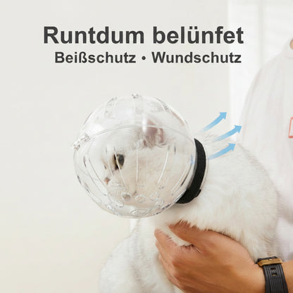 Halskrause Katze transparent Kugelform 360° Belüftung | Beiß & Wundschutz.
