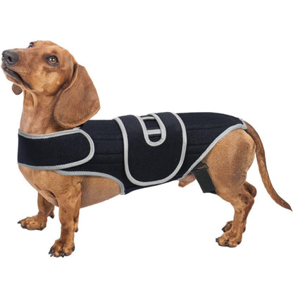 Hunde Rücken-Stützorthese – Orthopädische Wirbelsäulenstütze