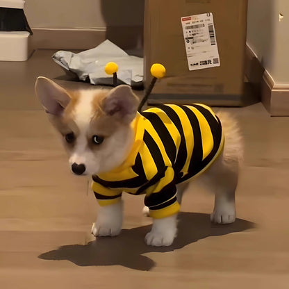 Bienen Kostüm Hund Katze Kapuzenpullover Haustierbekleidung.
