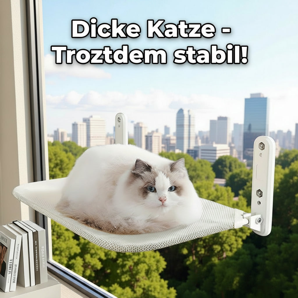 Katzenhängematte Fenster – Katzenliege mit Saugnapf-Befestigung.