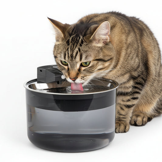 Katzenbrunnen Automatisch mit UV-Sterilisation 3L Wasserbrunnen für Katzen.