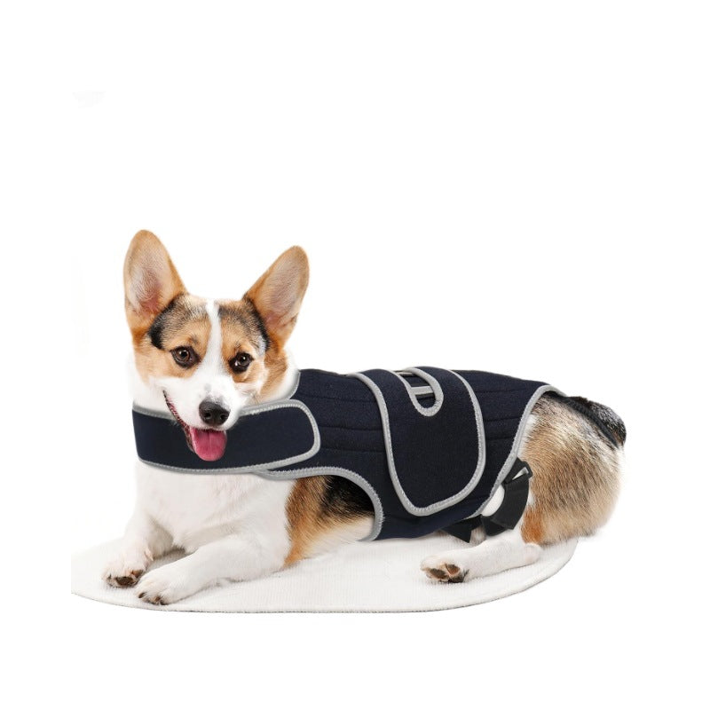Hunde Rücken-Stützorthese – Orthopädische Wirbelsäulenstütze