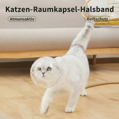 Halskrause Katze transparent Kugelform 360° Belüftung | Beiß & Wundschutz.