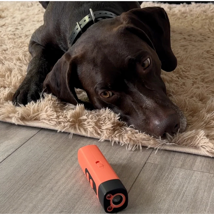 Hundefreundliches Anti-Bell Ultraschall Gerät BellSchutz.