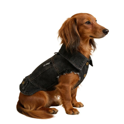 Dackel Jeansjacke | Vintage Distressed Denim für kleine Hunde