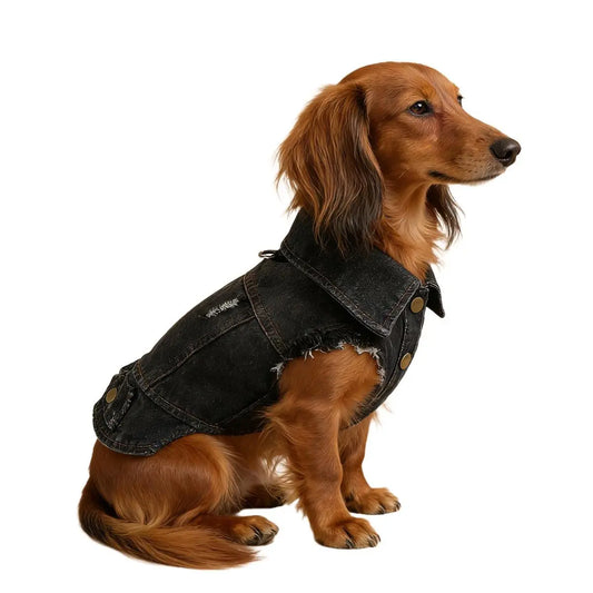 Dackel Jeansjacke | Vintage Distressed Denim für kleine Hunde