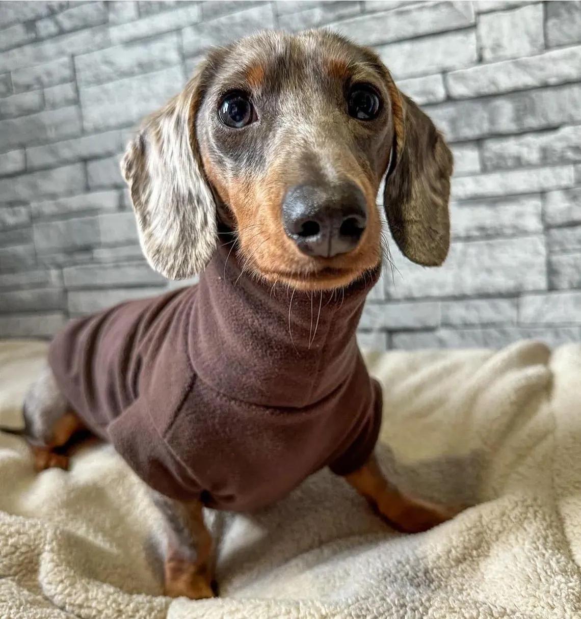 Maßgeschneiderter Hundemantel aus Premium-Fleece – Für alle Hunderassen