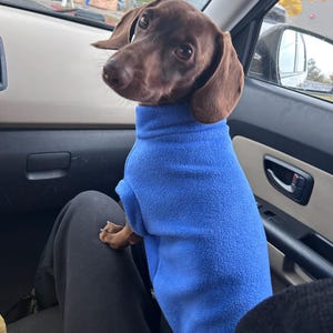 Maßgeschneiderter Hundemantel aus Premium-Fleece – Für alle Hunderassen