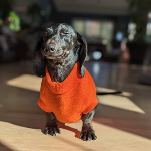 Maßgeschneiderter Hundemantel aus Premium-Fleece – Für alle Hunderassen