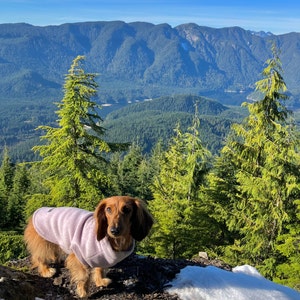 Maßgeschneiderter Hundemantel aus Premium-Fleece – Für alle Hunderassen