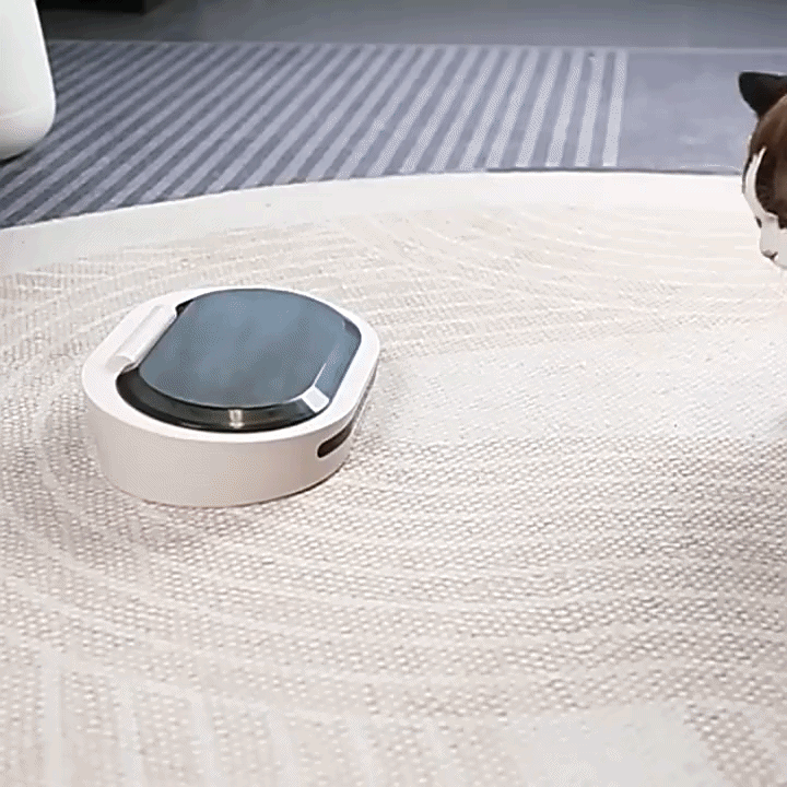 Katzennapf mit Sensor-Deckel – Insekten- & Staubschutz, USB oder Batterie, für Katzen & Hunde