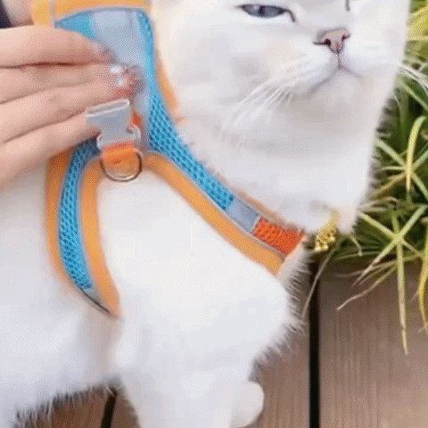 Katzengeschirr mit Leine – Reflektierendes Brustgeschirr für Katzen Ausbruchsicher & verstellbar | Inkl. Leine.