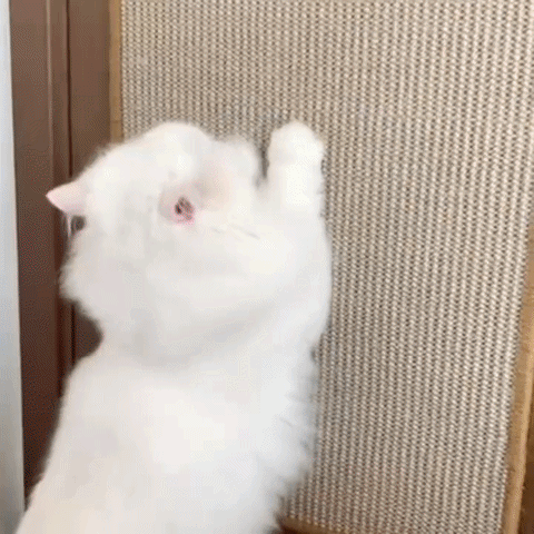 Katzen Kratzbrett Sisal – Selbstklebende Kratzmatte für Wände & Möbel.