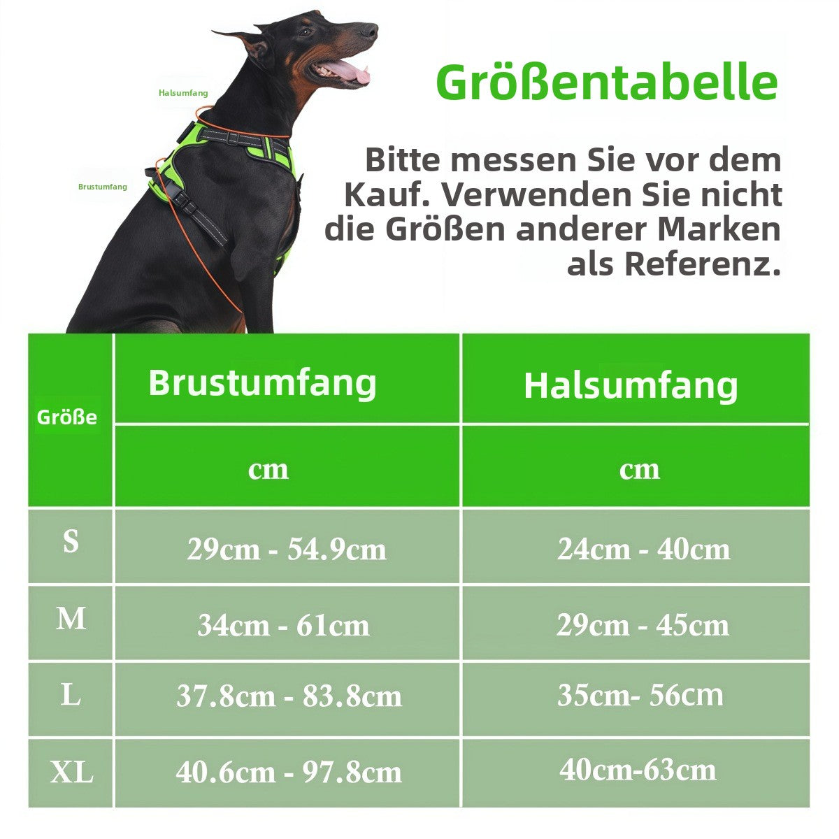 LED-Hundegeschirr mit wiederaufladbarer Beleuchtung – Sicher sichtbar bei Nacht