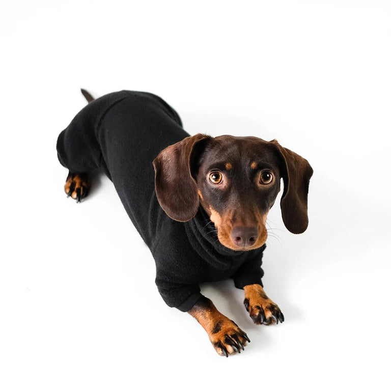 Maßgeschneiderter Hunde-Overall aus Premium-Fleece – Für alle Hunderassen