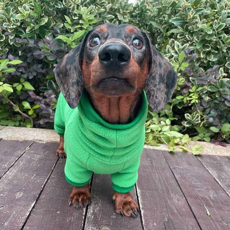 Maßgeschneiderter Hunde-Overall aus Premium-Fleece – Für alle Hunderassen