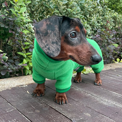 Maßgeschneiderter Hunde-Overall aus Premium-Fleece – Für alle Hunderassen
