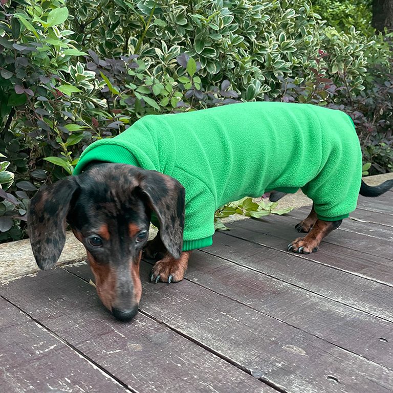 Maßgeschneiderter Hunde-Overall aus Premium-Fleece – Für alle Hunderassen